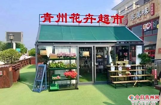 青州花卉，一路生花 ! “青州花卉超市”亮相青银高速公路服务区